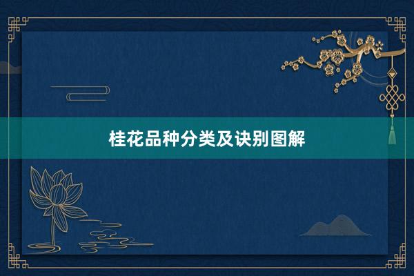 桂花品种分类及诀别图解